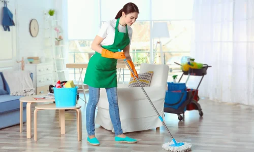 young-female-cleaner-work-living-room